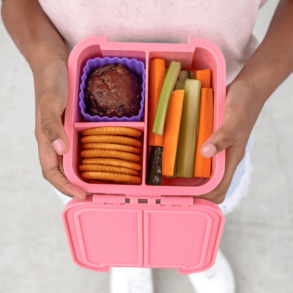 Little Lunch Box Co Bento Two Blueberry-1954803062069661700