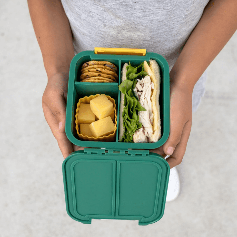 Little Lunch Box Co Bento Two Blueberry-1954803062069661701
