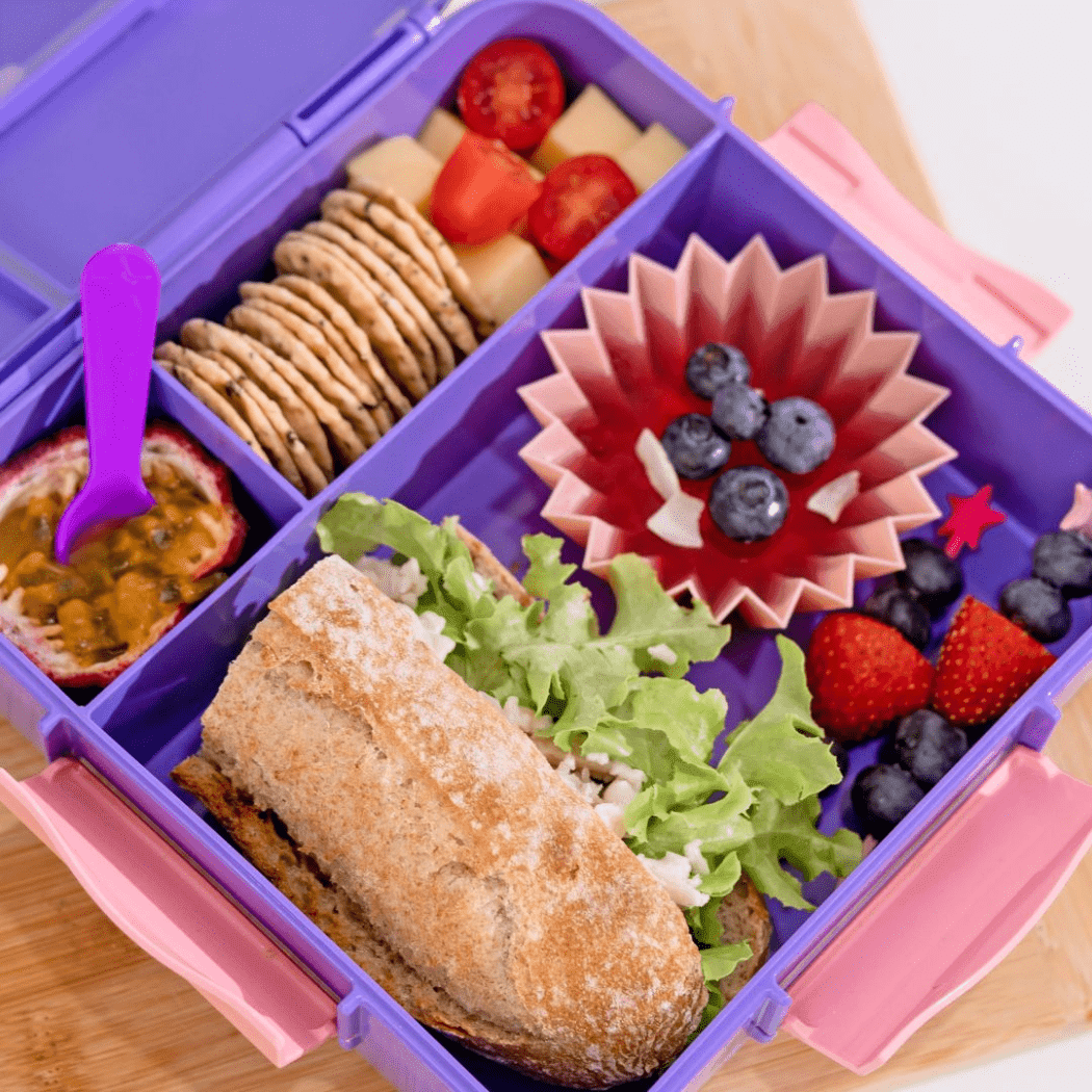 MONTII.CO Bento Plus | Grape-1954803117291868163