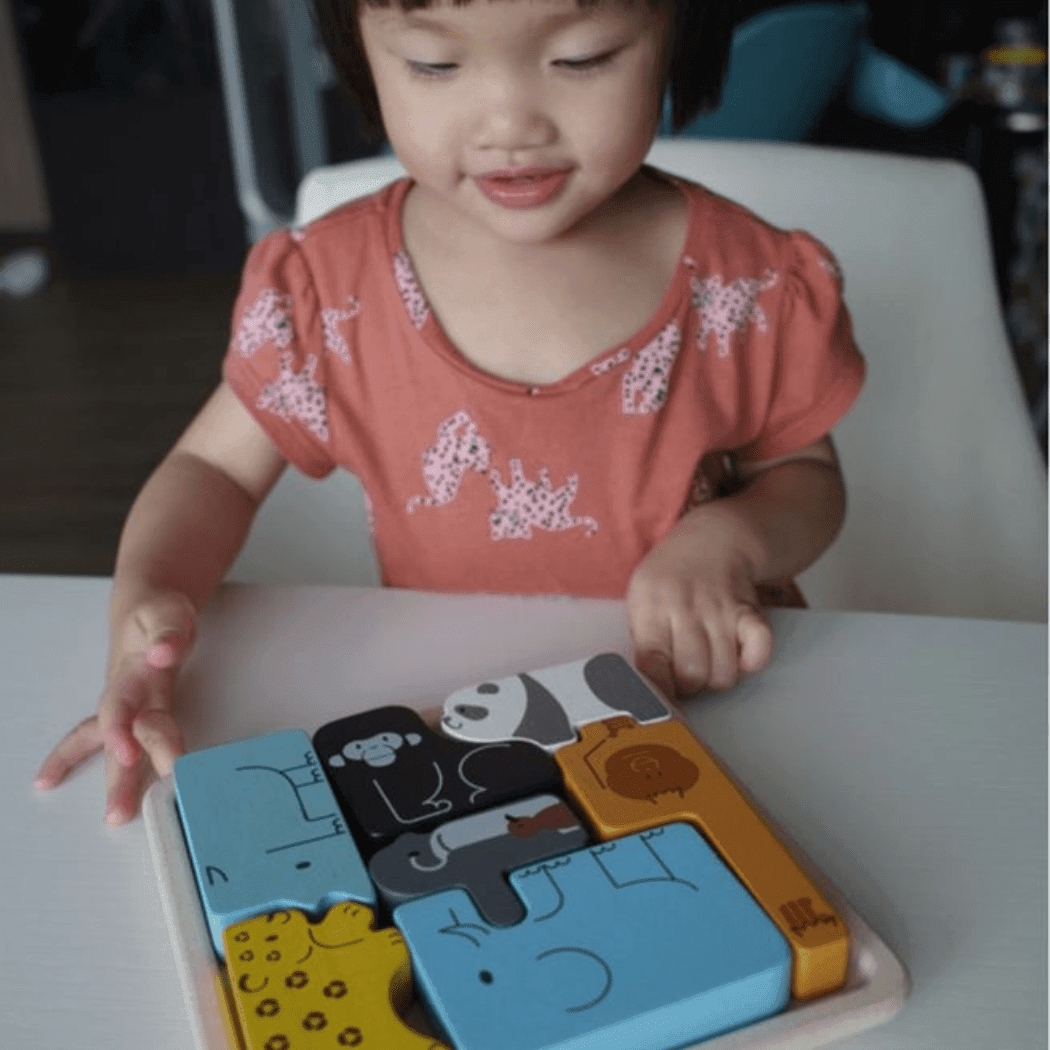 Plan Toys Animal Puzzle Game-1954803130822692867