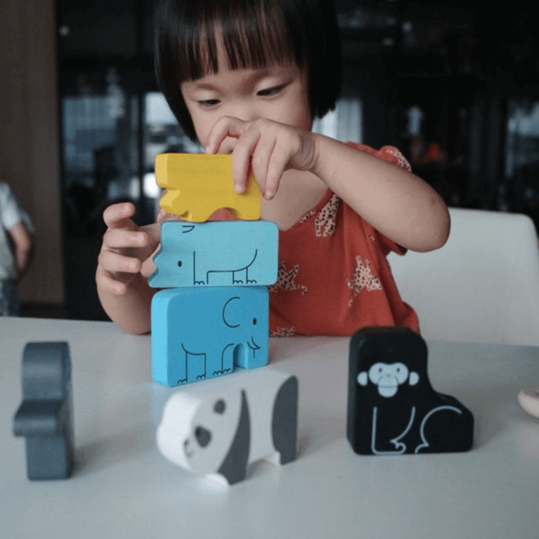 Plan Toys Animal Puzzle Game-1954803130822692870