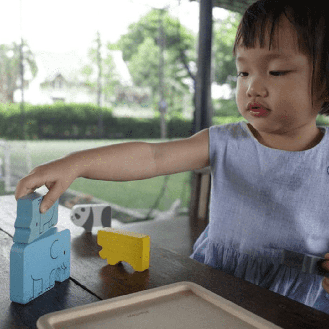 Plan Toys Animal Puzzle Game-1954803130822692871