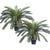 Soga 2 X 155cm Artificial Indoor Cycas Revoluta Cycad Sago Palm Fake Decoration Tree Pot Plant