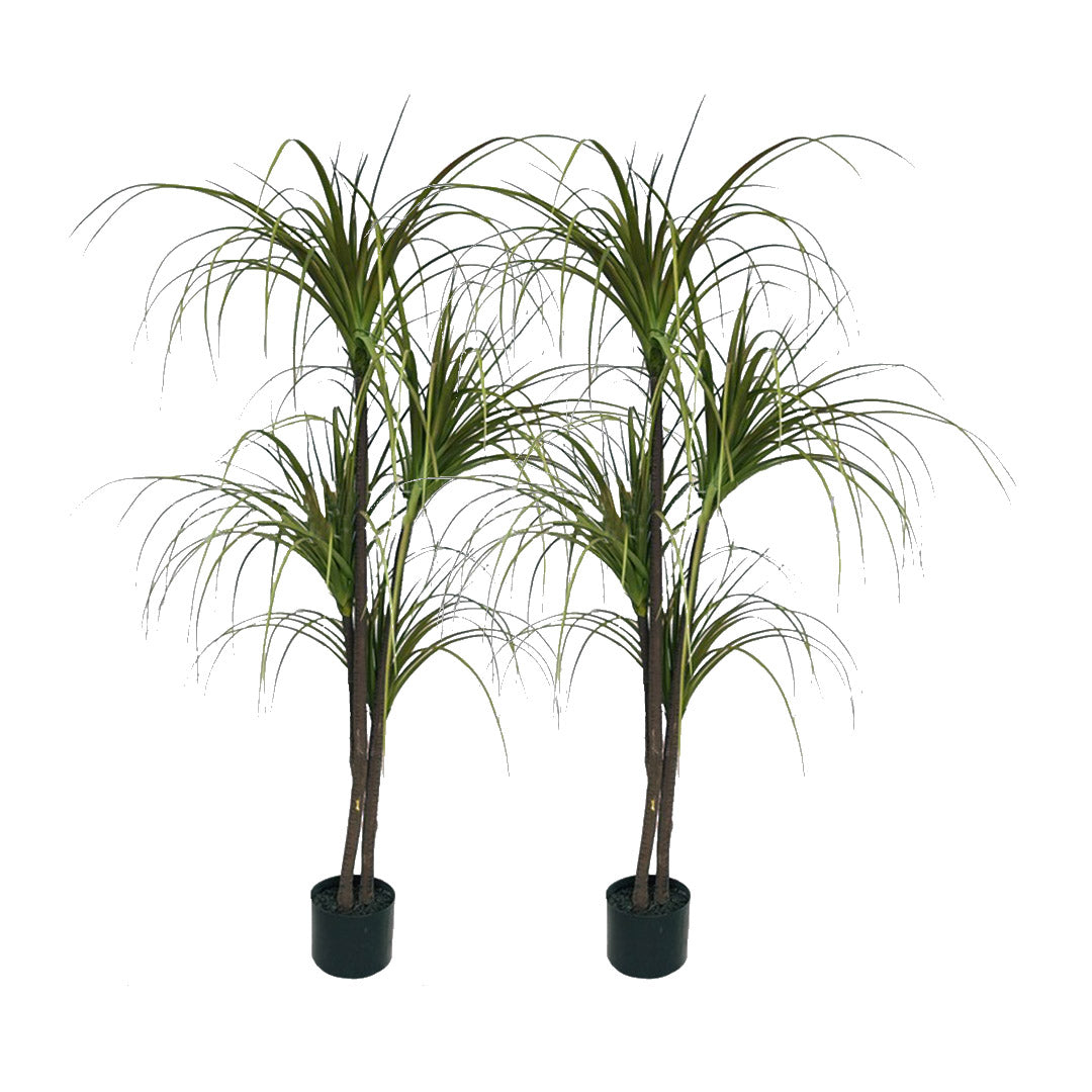 Soga 2 X 150cm Green Artificial Indoor Dragon Blood Tree Fake Plant Simulation Decorative