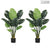 Soga 2 X 113cm Artificial Indoor Potted Turtle Back Fake Decoration Tree Flower Pot Plant