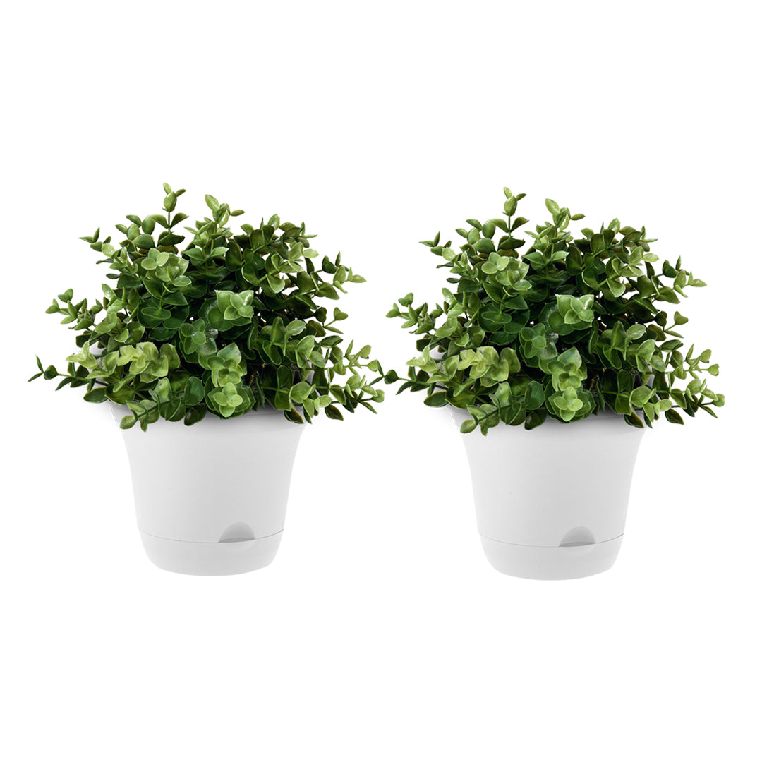 20cm White Plastic Plant Pot Self Watering Planter Flower Bonsai Indoor Outdoor Garden Decor Set of 2