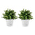 20cm White Plastic Plant Pot Self Watering Planter Flower Bonsai Indoor Outdoor Garden Decor Set of 2