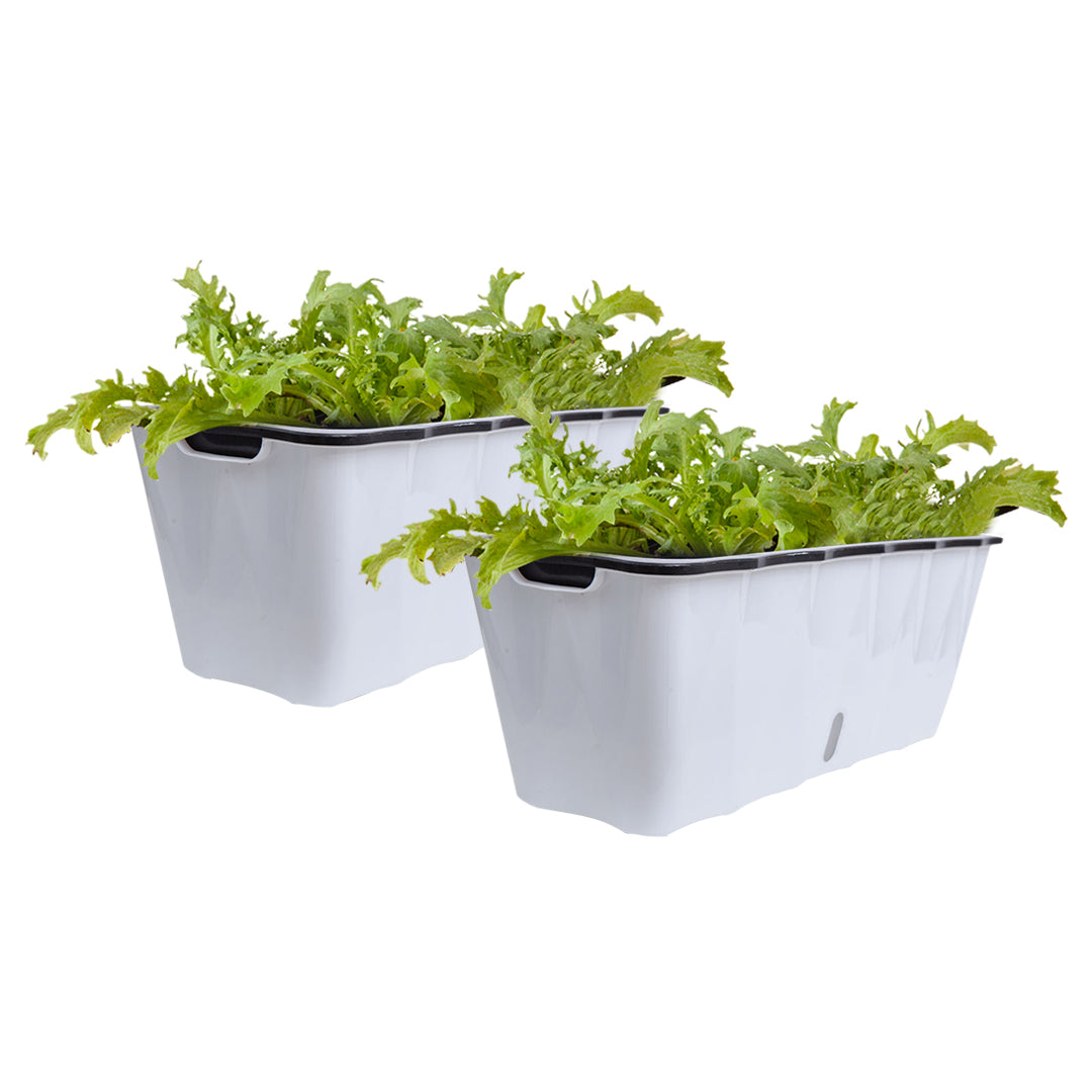 2X Large White Rectangular Flowerpot Vegetable Herb Flower Outdoor Plastic Box Garden Decor