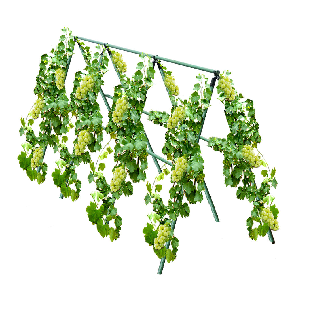 120X90cm Plant Frame Tube Trellis Vegetable Flower Herbs Outdoor Vine Support Adjustable Garden Rack