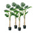 Soga 4 X 160cm Green Artificial Indoor Turtle Back Tree Fake Fern Plant Decorative