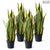 Soga 4 X 95cm Artificial Indoor Yellow Edge Tiger Piran Fake Decoration Tree Flower Pot Plant