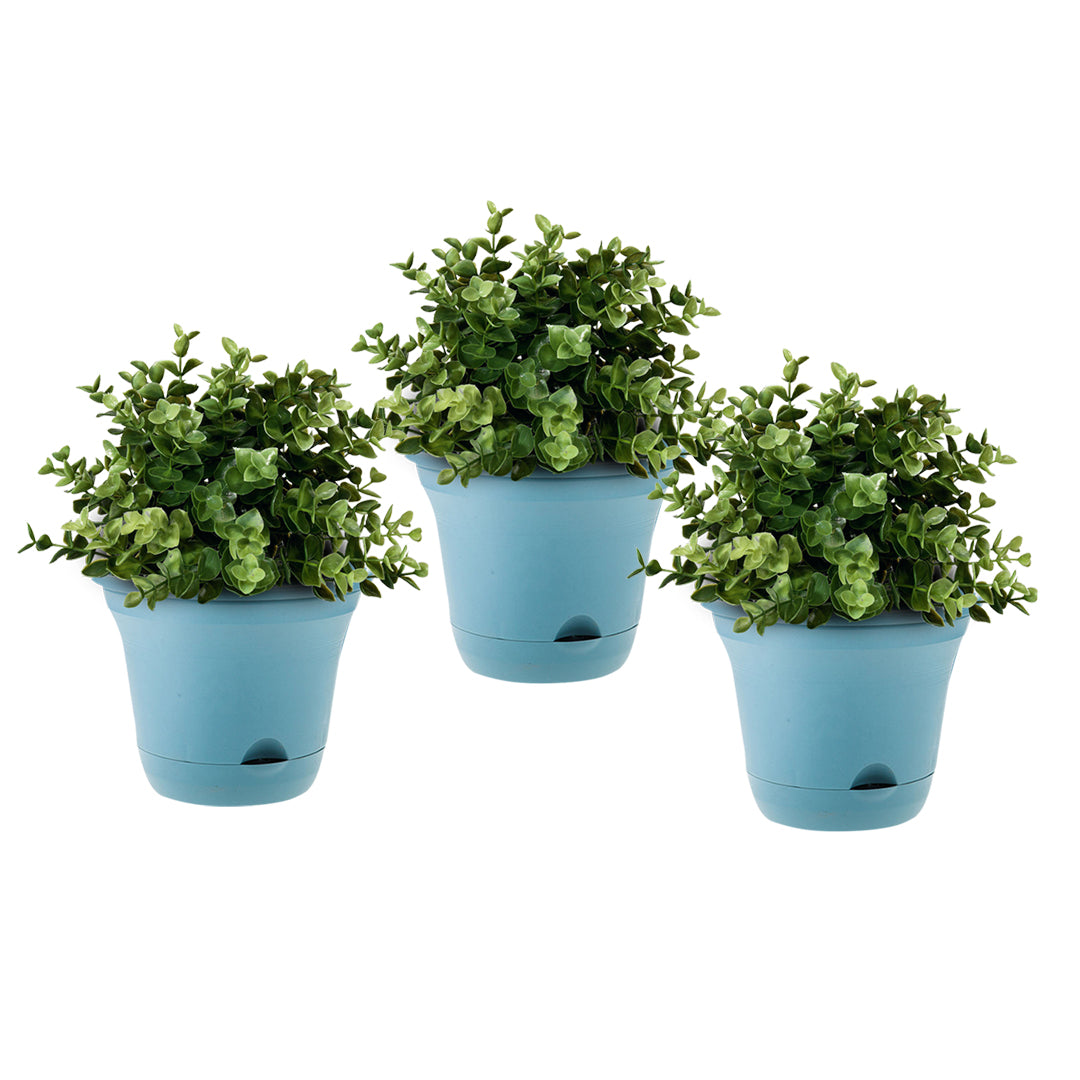 20cm Blue Plastic Plant Pot Self Watering Planter Flower Bonsai Indoor Outdoor Garden Decor Set of 3