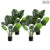 Soga 4 X 80cm Artificial Indoor Potted Turtle Back Fake Decoration Tree Flower Pot Plant