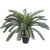 Soga 155cm Artificial Indoor Cycas Revoluta Cycad Sago Palm Fake Decoration Tree Pot Plant