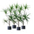 Soga 4 X 180cm Green Artificial Indoor Brazlian Iron Tree Fake Plant Decorative 4 Heads