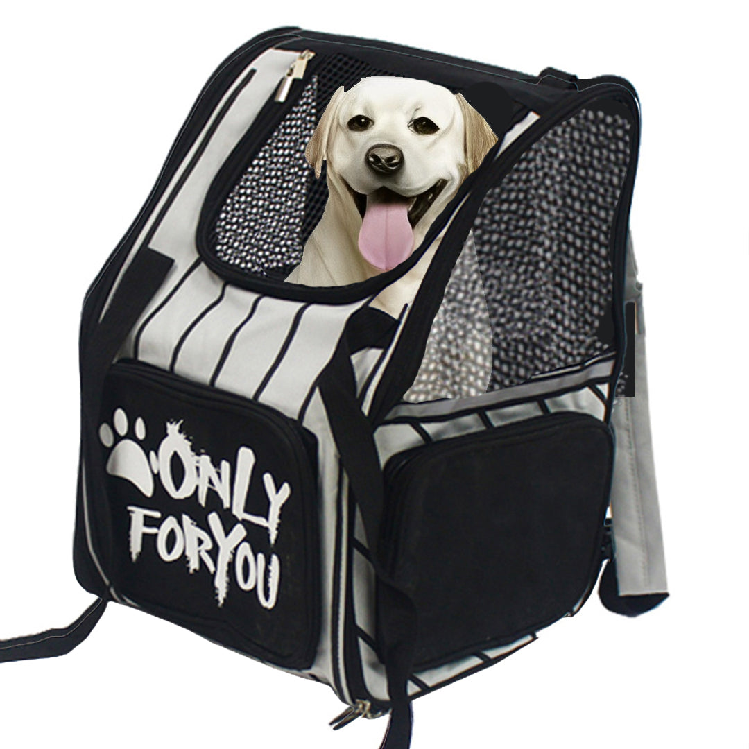 Black Pet Carrier Backpack Breathable Mesh Portable Safety Travel Essentials Outdoor Bag