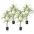 Soga 4 X 90cm Artificial Natural Green Dracaena Dragon Tree Fake Tropical Indoor Plant Home Office Decor