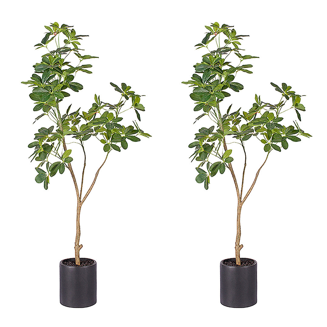 Soga 2 X 160cm Artificial Natural Green Schefflera Dwarf Umbrella Tree Fake Tropical Indoor Plant Home Office Decor