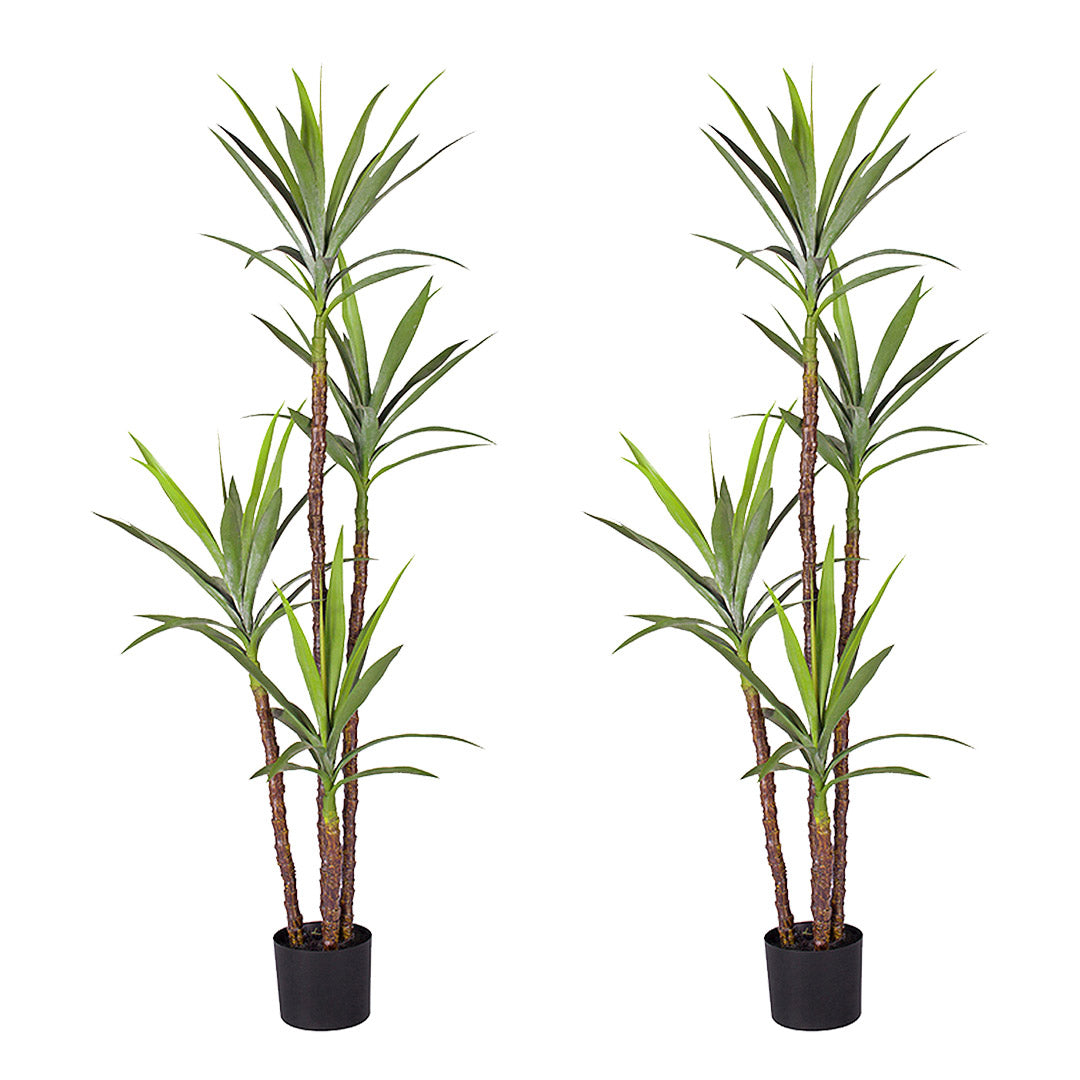 Soga 2 X 180cm Artificial Natural Green Dracaena Yucca Tree Fake Tropical Indoor Plant Home Office Decor