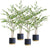 Soga 4 X 180cm Green Artificial Indoor Watercress Tree Fake Plant Simulation Decorative