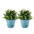 20cm Blue Plastic Plant Pot Self Watering Planter Flower Bonsai Indoor Outdoor Garden Decor Set of 2