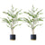 Soga 2 X 150cm Green Artificial Indoor Watercress Tree Fake Plant Simulation Decorative