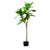 Soga 120cm Green Artificial Indoor Qin Yerong Tree Fake Plant Simulation Decorative