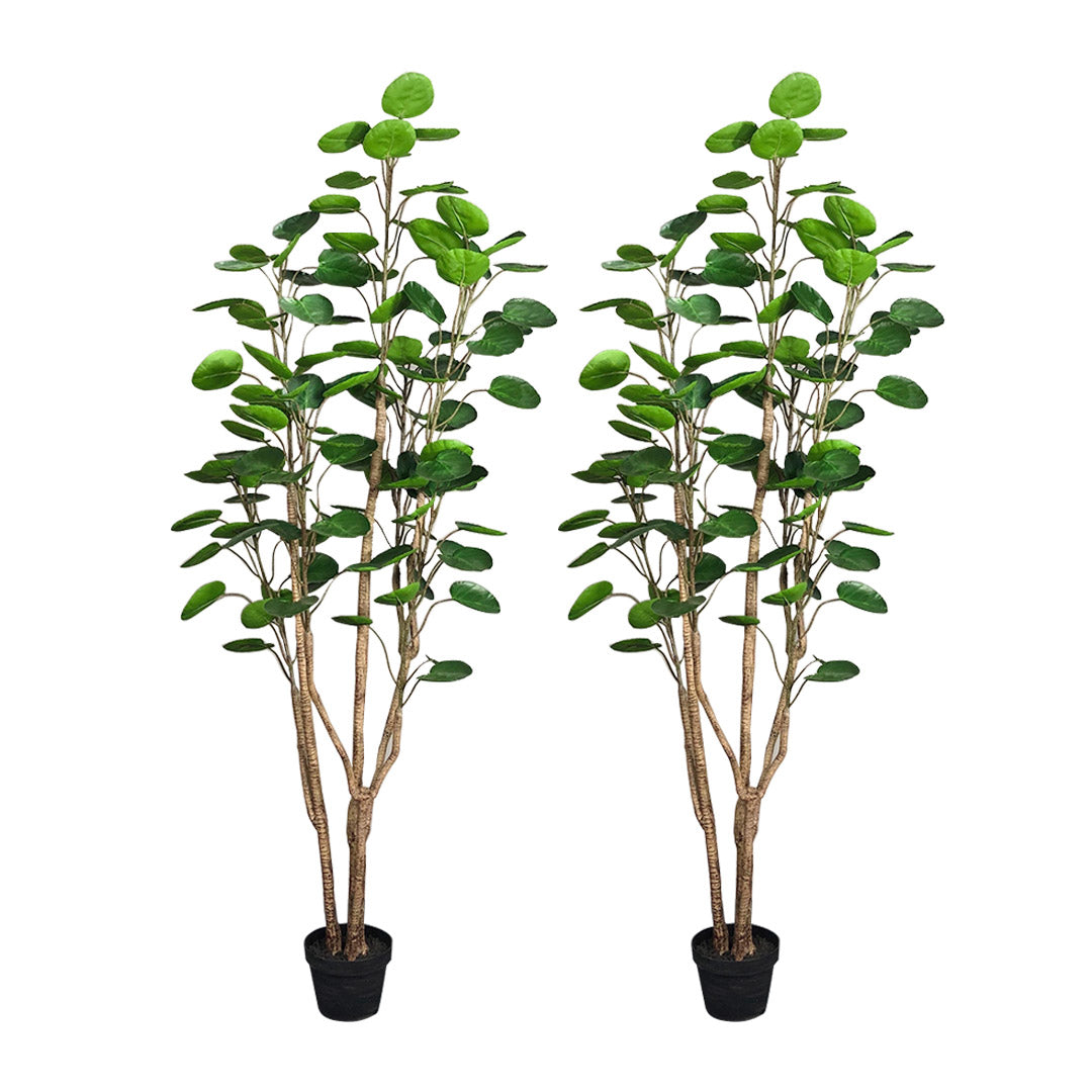 Soga 2 X 150cm Green Artificial Indoor Pocket Money Tree Fake Plant Simulation Decorative