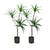 Soga 2 X 180cm Green Artificial Indoor Brazlian Iron Tree Fake Plant Decorative 3 Heads