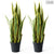 Soga 2 X 70cm Artificial Indoor Yellow Edge Tiger Piran Fake Decoration Tree Flower Pot Plant