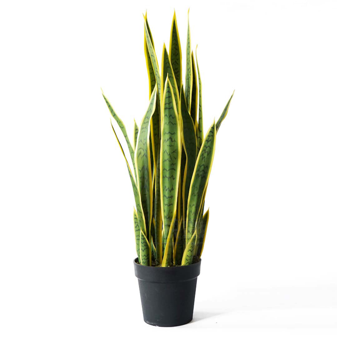 Soga 70cm Artificial Indoor Yellow Edge Tiger Piran Fake Decoration Tree Flower Pot Plant
