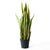 Soga 70cm Artificial Indoor Yellow Edge Tiger Piran Fake Decoration Tree Flower Pot Plant