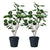 Soga 2 X 95cm Green Artificial Indoor Pocket Money Tree Fake Plant Simulation Decorative