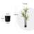 Soga 4 X 150cm Artificial Natural Green Dracaena Yucca Tree Fake Tropical Indoor Plant Home Office Decor