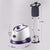Garment Steamer Vertical Twin Pole Clothes 1700ml 1800w Professional Steaming Kit Purple