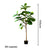 Soga 2 X 155cm Green Artificial Indoor Qin Yerong Tree Fake Plant Simulation Decorative