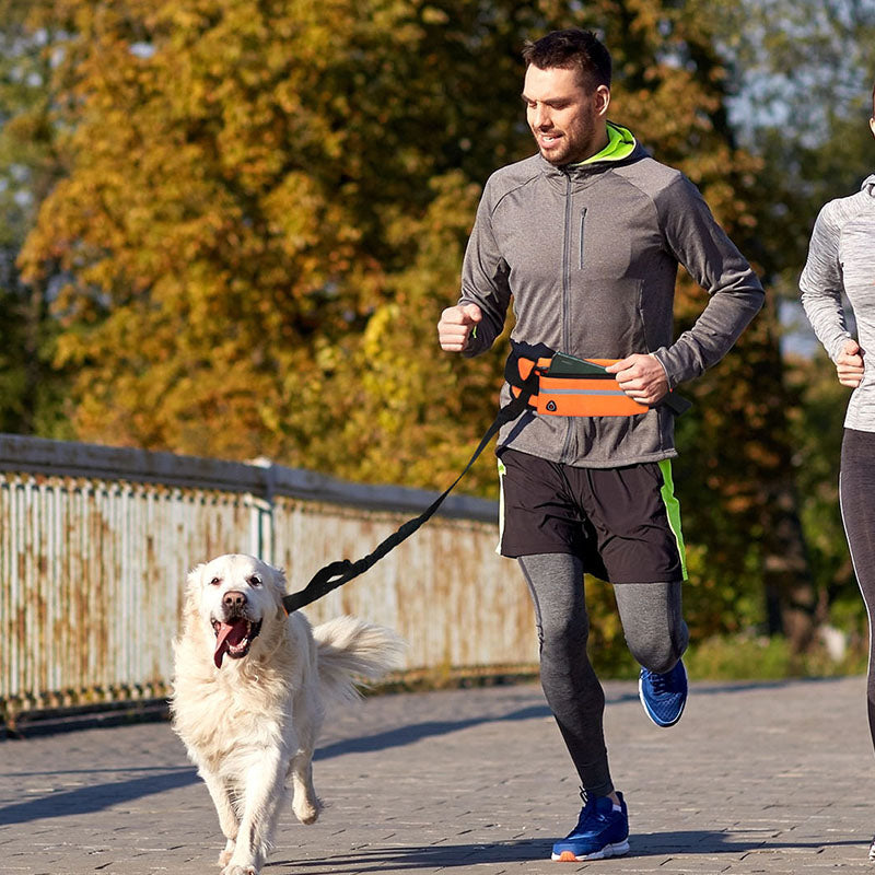 Soga 2 X Orange Adjustable Hands Free Pet Leash Bag Dog Lead Walking Running Jogging Pet Essentials