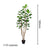 Soga 2 X 180cm Green Artificial Indoor Pocket Money Tree Fake Plant Simulation Decorative