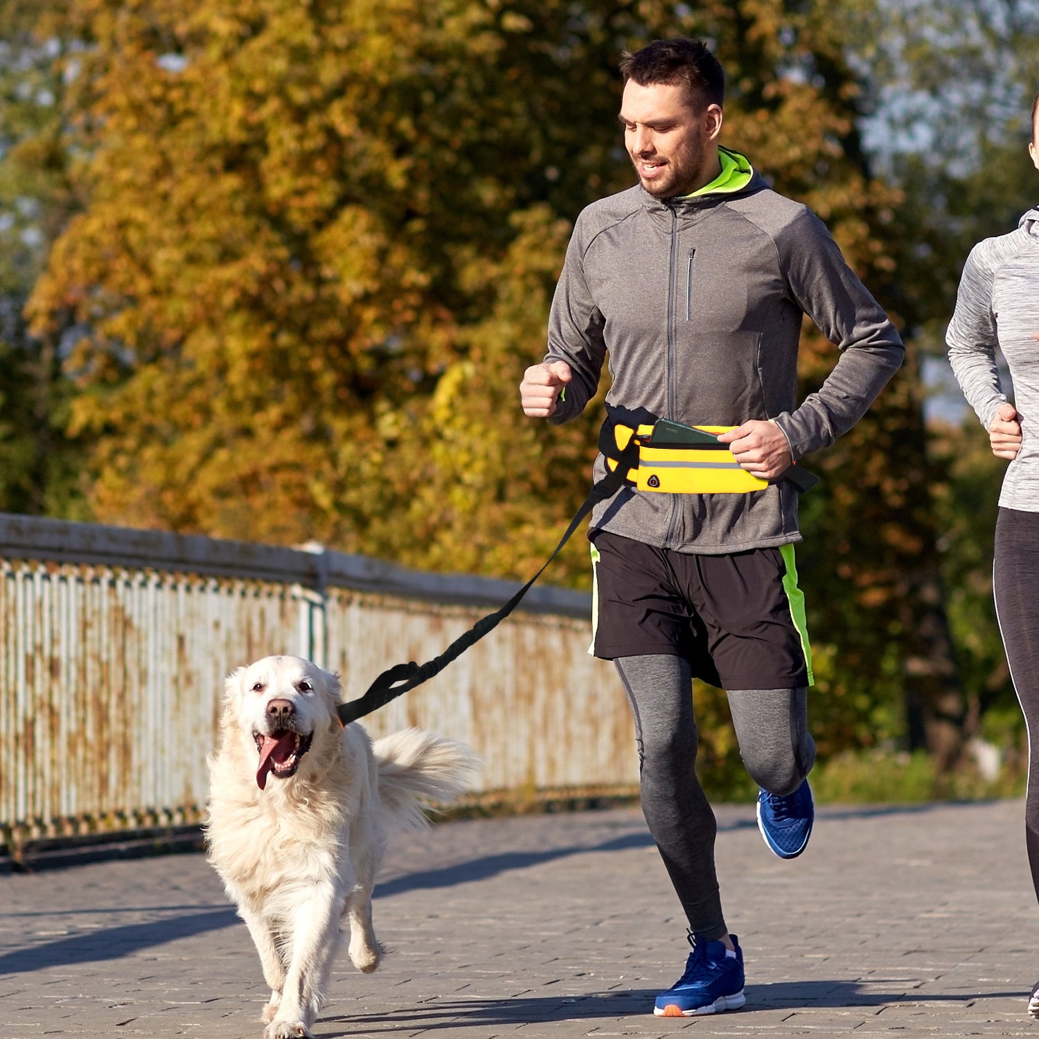 Soga 2 X Yellow Adjustable Hands Free Pet Leash Bag Dog Lead Walking Running Jogging Pet Essentials