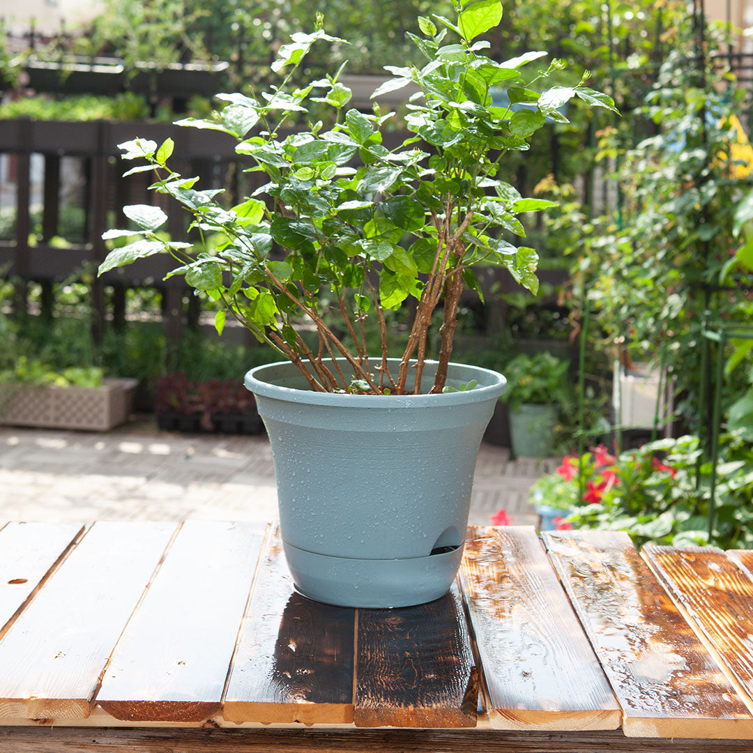 20cm Blue Plastic Plant Pot Self Watering Planter Flower Bonsai Indoor Outdoor Garden Decor Set of 2