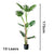 Soga 2 X 175cm Green Artificial Indoor Turtle Back Tree Fake Fern Plant Decorative