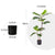 Soga 90cm 2 Trunk Artificial Natural Green Split Leaf Philodendron Tree Fake Tropical Indoor Plant Home Office Decor