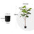 Soga 4 X 180cm Artificial Natural Green Split Leaf Philodendron Tree Fake Tropical Indoor Plant Home Office Decor