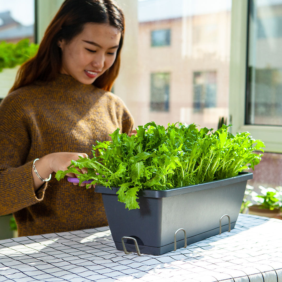 49.5cm Black Rectangular Planter Vegetable Herb Flower Outdoor Plastic Box with Holder Balcony Garden Decor Set of 3