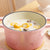 24cm Pink Cast Iron Ceramic Stewpot Casserole Stew Cooking Pot With Lid