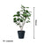 Soga 2 X 95cm Green Artificial Indoor Pocket Money Tree Fake Plant Simulation Decorative