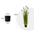 Soga 4 X 150cm Green Artificial Indoor Potted Papyrus Plant Tree Fake Simulation Decorative