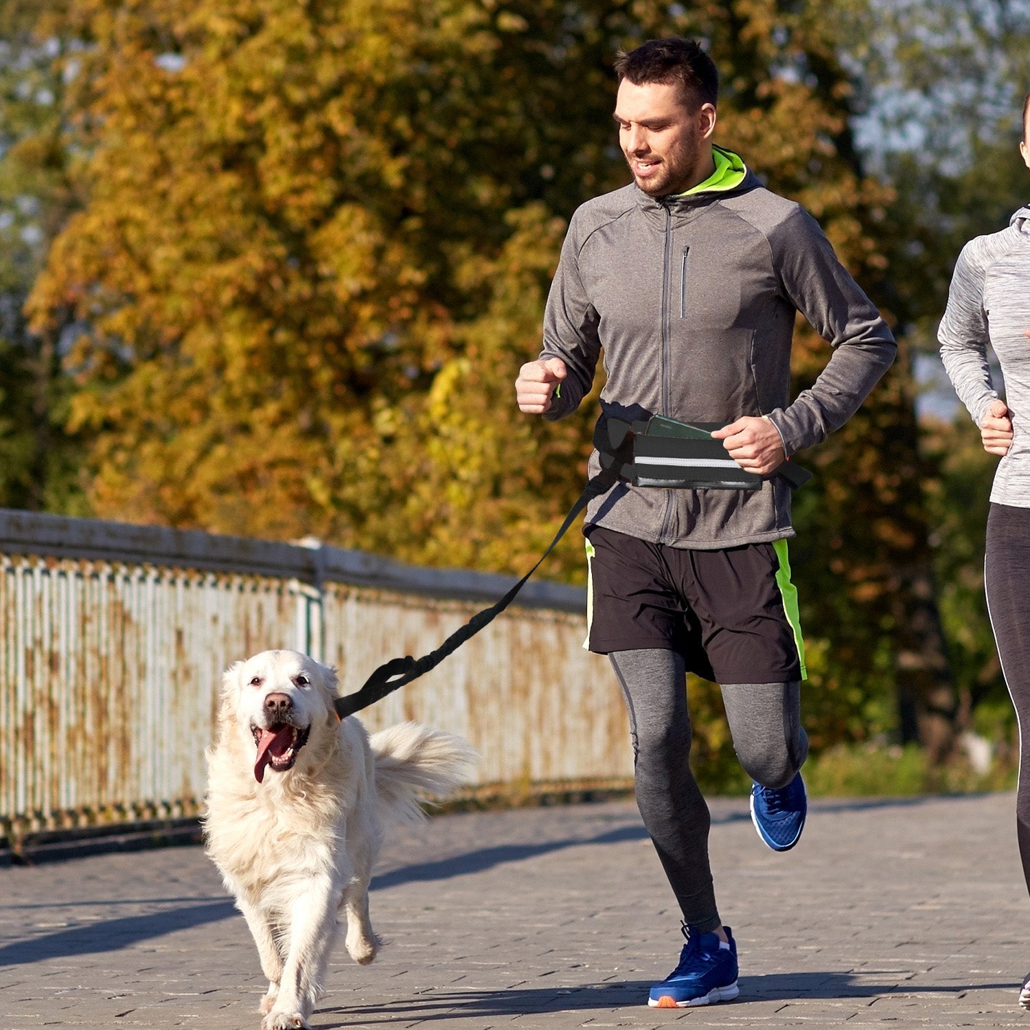 Soga 2 X Black Adjustable Hands Free Pet Leash Bag Dog Lead Walking Running Jogging Pet Essentials