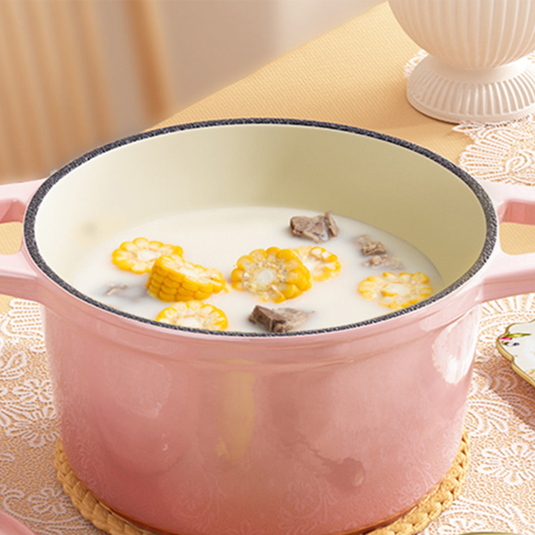 2X 22cm Pink Cast Iron Ceramic Stewpot Casserole Stew Cooking Pot With Lid