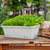 49.5cm White Rectangular Planter Vegetable Herb Flower Outdoor Plastic Box with Holder Balcony Garden Decor Set of 4